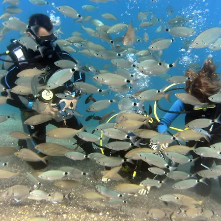 Kipriotis Panorama & Psalidi (Kos)