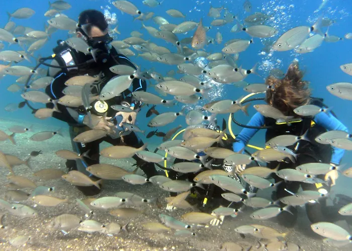 Kipriotis Panorama & Psalidi (Kos)